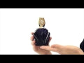 Passion Perfume by Elizabeth Taylor for Women